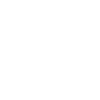 pioniri